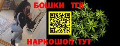 Альфа ПВП Гатчина