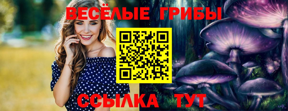 Псилоцибиновые грибы Psilocybine cubensis  Галлюциногенные грибы Psilocybe  Вход с VPN  цена наркотик  Знаменск 