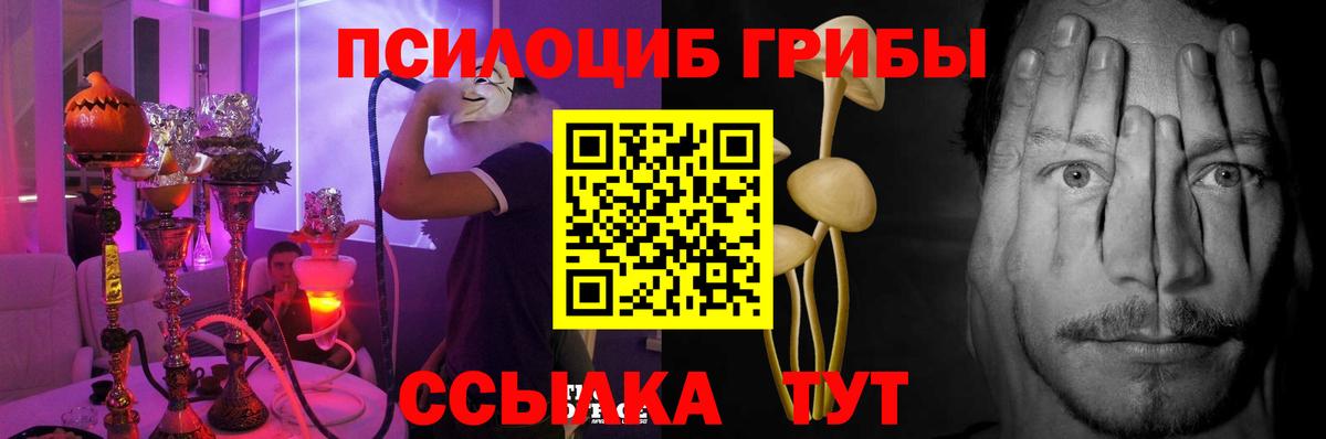 Псилоцибиновые грибы GOLDEN TEACHER Знаменск
